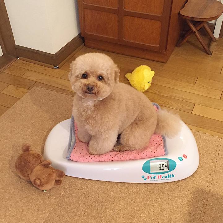 D47151aa 41ca 4856 852b bdc882342f02