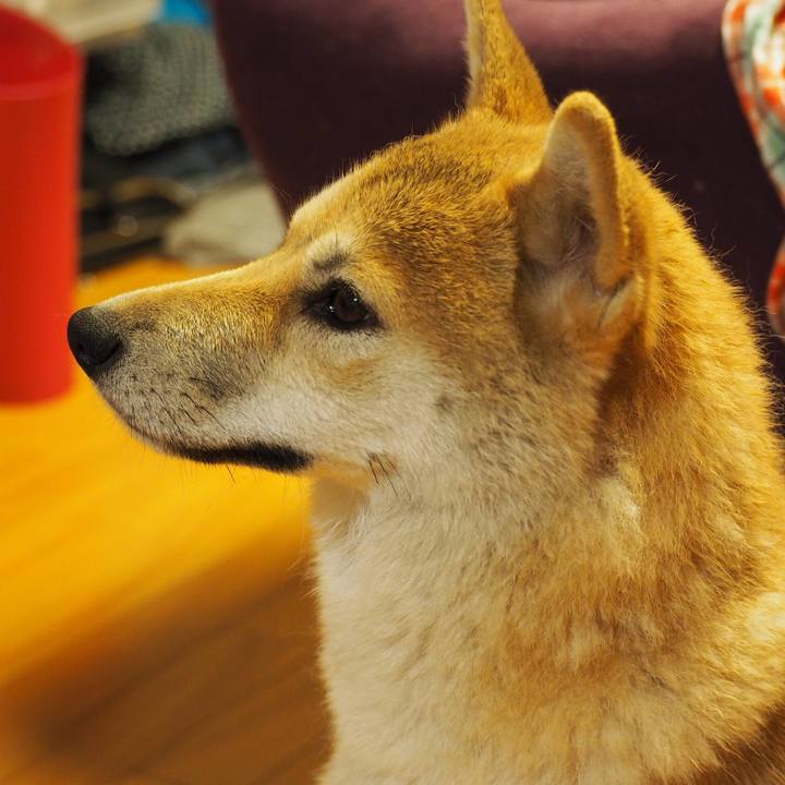 D4715272 8b4a 424c 9cf7 6b03fd25dd81