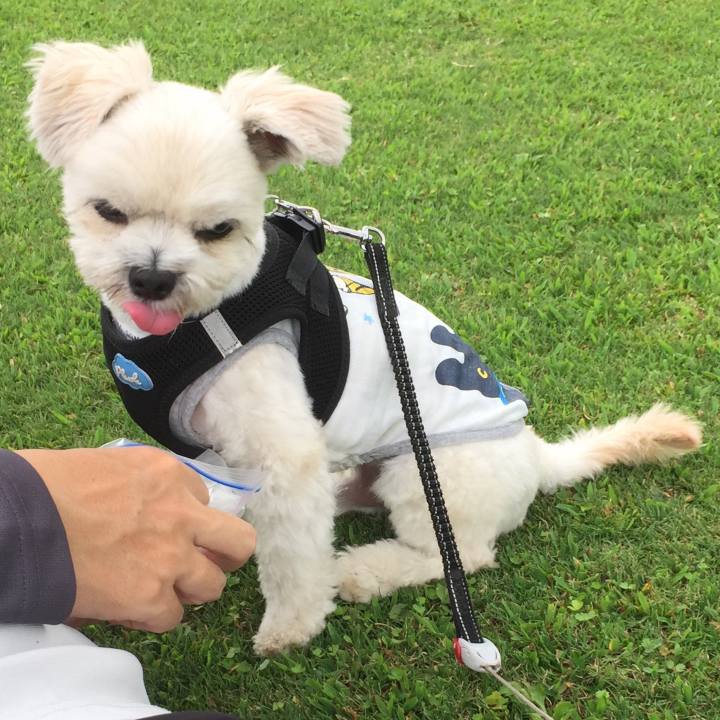 D471ab33 676a 4aad 9b3d abbc38a607f3