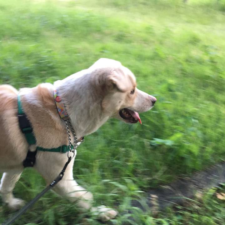 D471c625 f820 4798 8f6e e1f340f70aee