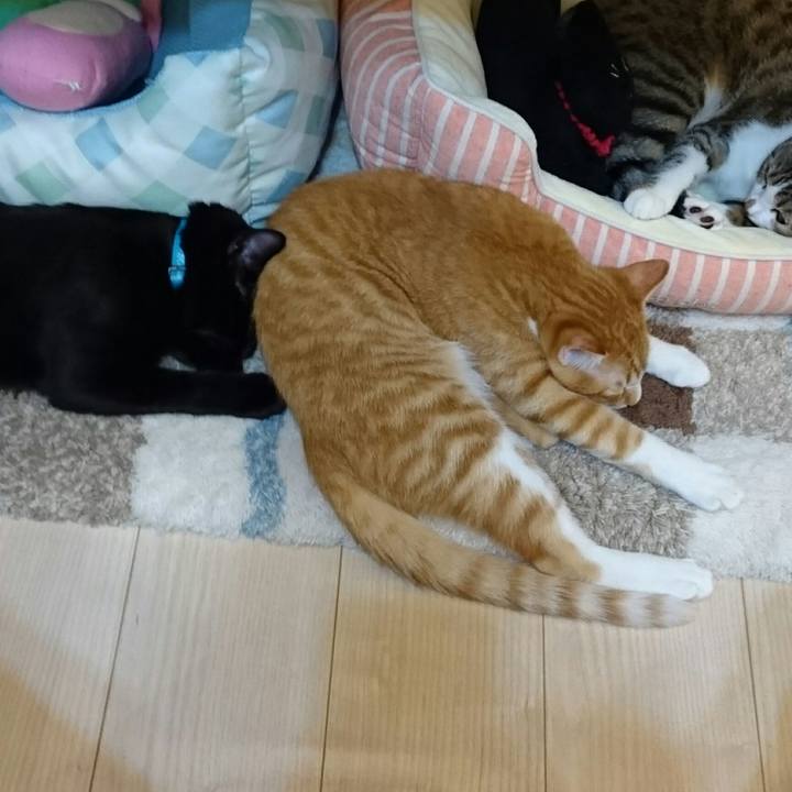 D4721ab7 2dbf 4f94 95a9 d133fb9b2979