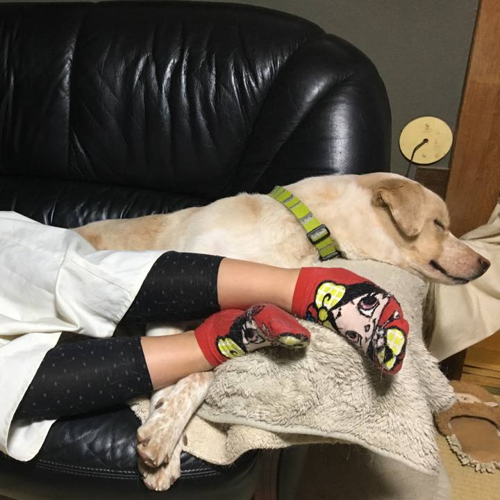 D4721dc2 2fa0 4813 a430 a59a3dd8ddd8