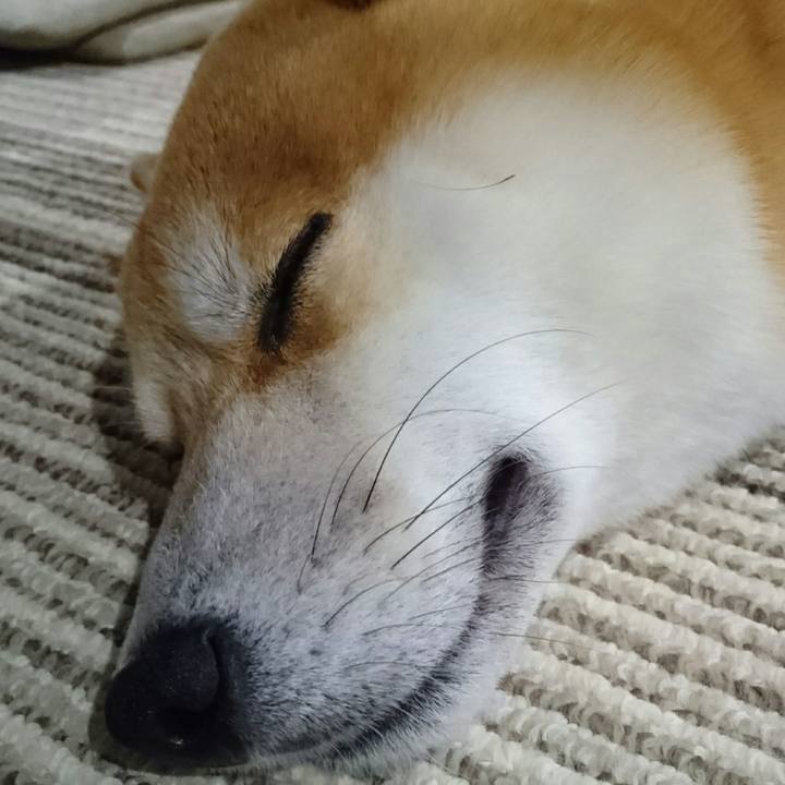 D4727e89 ab34 4334 9be6 fc299e1cf720