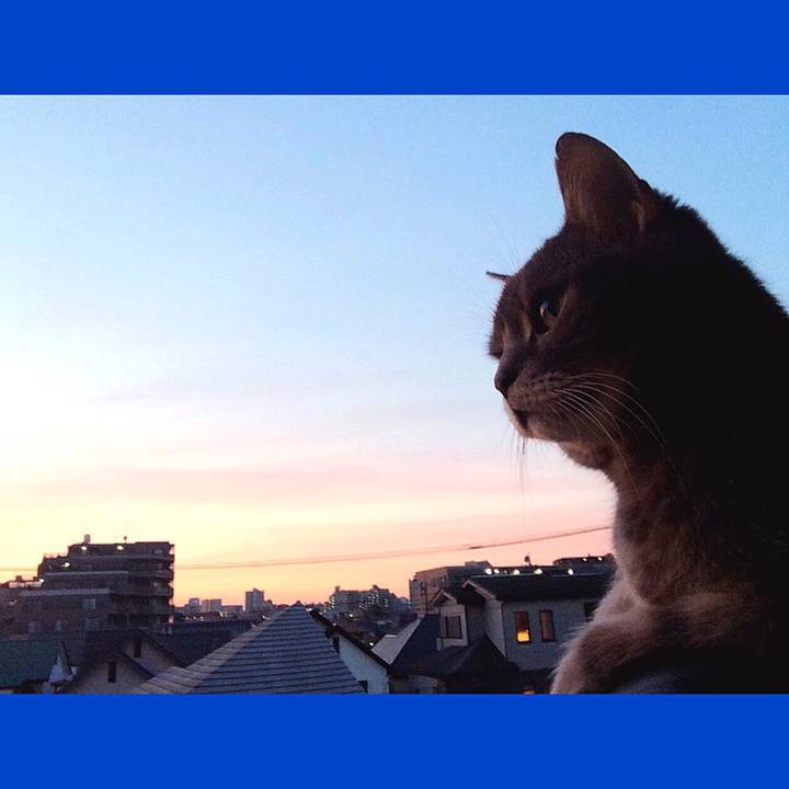 D472a7d1 8e98 42e7 819f 7fcf2c38ce52