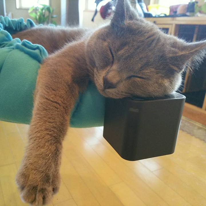 D47358ff 24e2 403a 8de8 3807e8392d4b