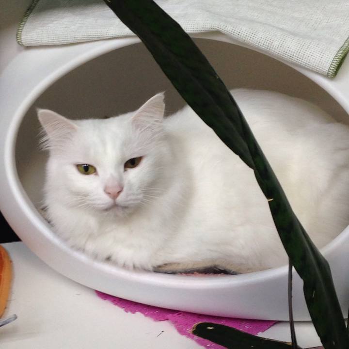 D4738114 b1eb 4b3f a9a3 bd6da1598514