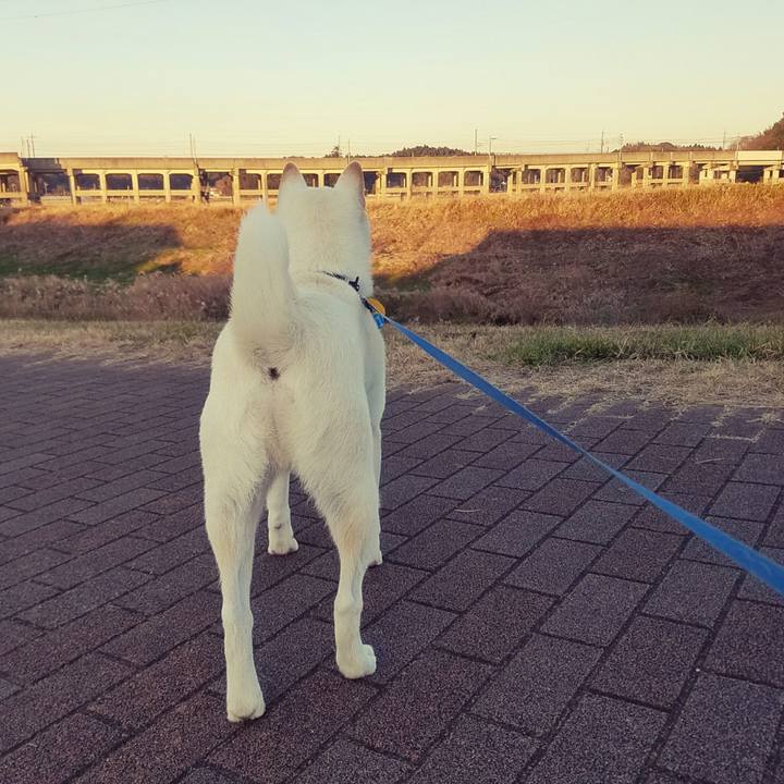 D4738279 7015 4004 b738 6f19627e3c85