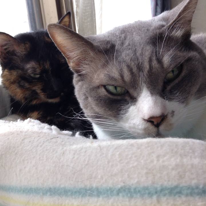 D47449f7 8e68 4044 b4f5 1dd99a159d8e