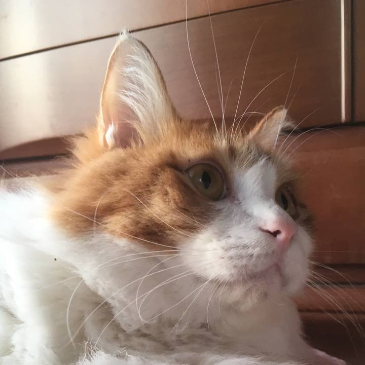 D4749109 8abe 4f2f 85cc 507175b02b89