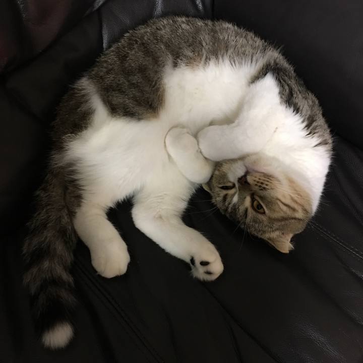 D4750d2f e8df 40dd b61e d0f0d9c71902