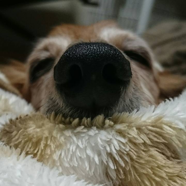 D47571ce 8517 45db 9f19 616e60d5a205