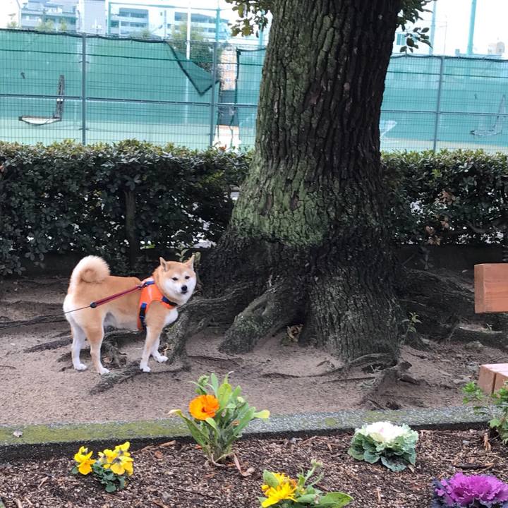 D475884b 1d94 4923 b33d 83f0187eee8e