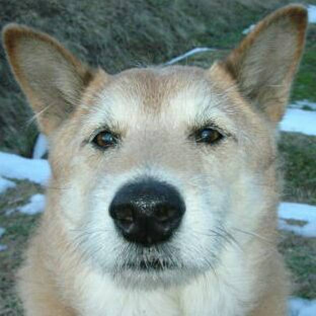 D475e5de 6d8e 495e a275 79184cd4a6a9