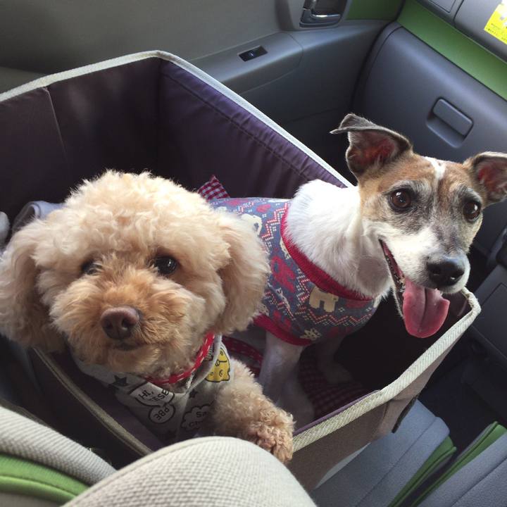 D47636e8 6816 4fa1 bb0d dd6dd745ca7f