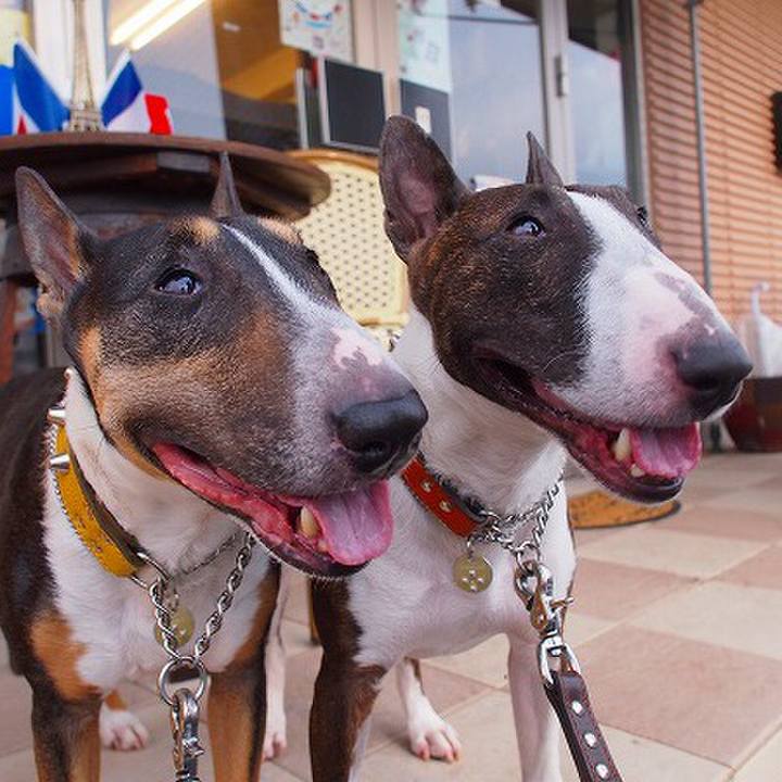 D47750e9 1098 4774 b4f8 5ce2a63f5d9b