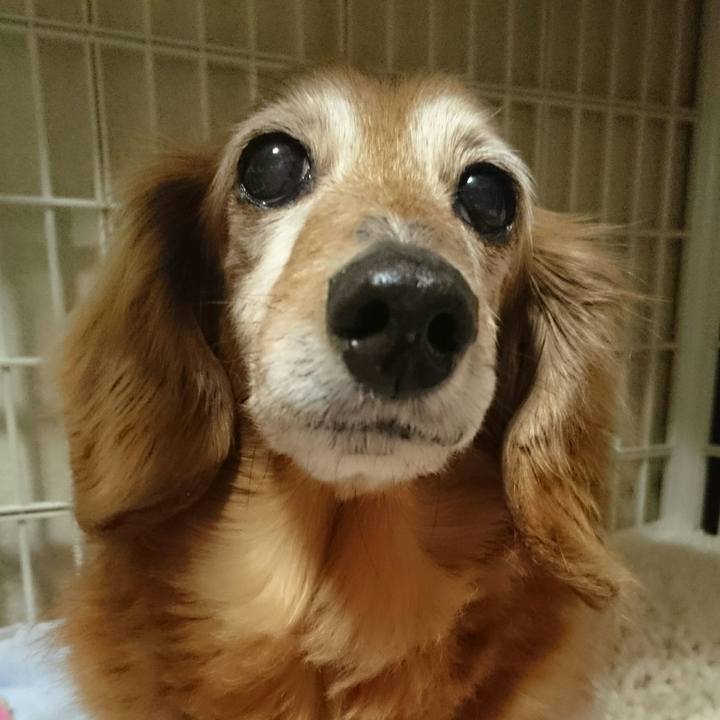 D4779969 20b7 49c9 951a c1468b2a75db