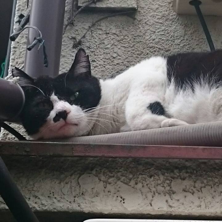 D478090b 4181 4a4c b47d 3c6db4d47dd5