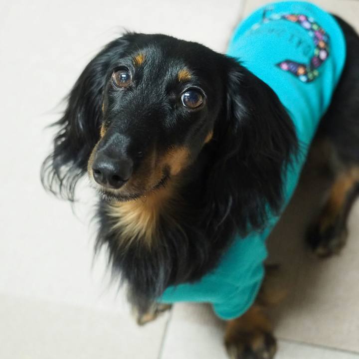 D478977f 8a7b 4953 a10c 4a5e282629f3