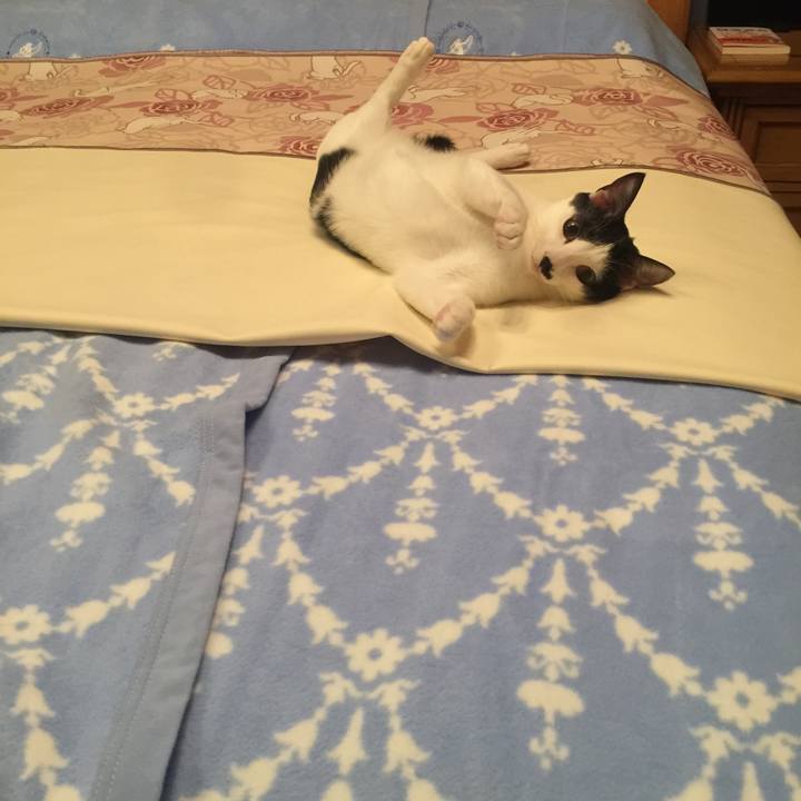 D478ead4 6ce0 4b7b 8036 488f89aa7e9a