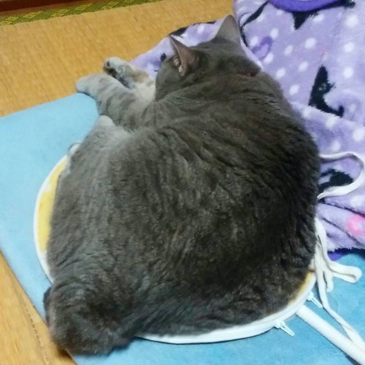 D479b984 c97a 4ab3 b189 f07d82642d3c