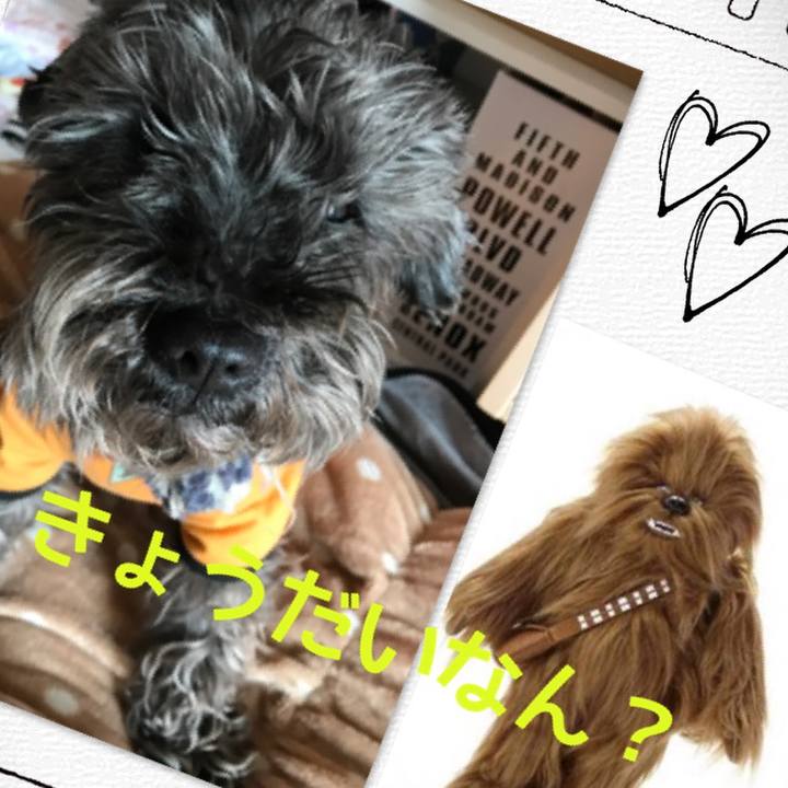 D479c60e 423b 4a9d 9ef9 b60a50ea0607