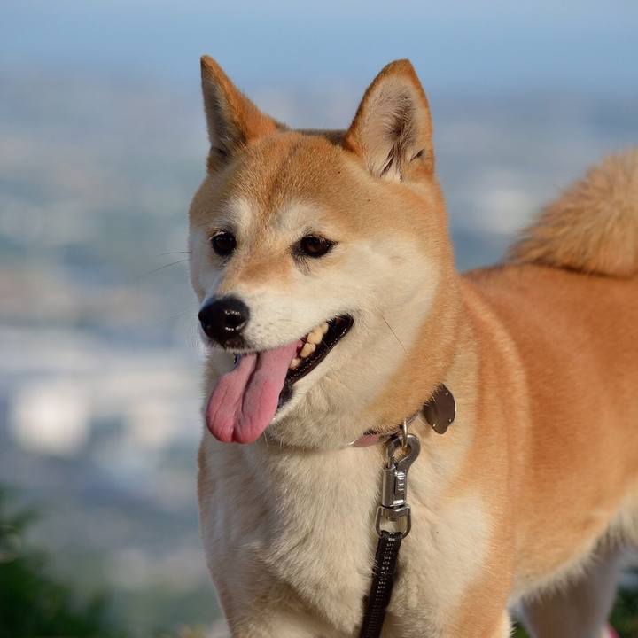 D47a0b94 ca65 481d 8129 f3c9e8777707