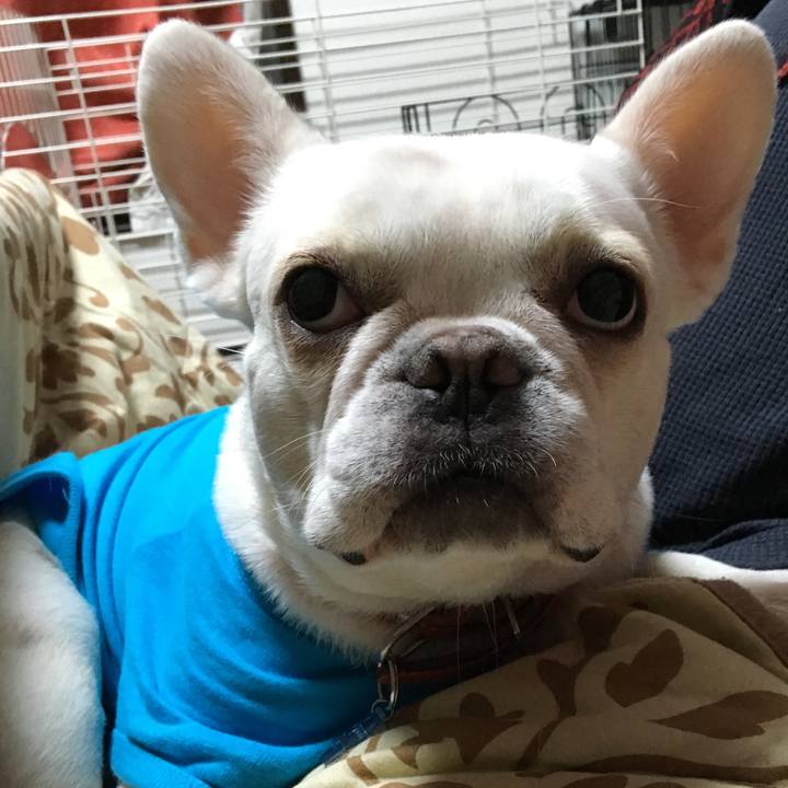 D47abbc3 00f7 4f8c a3af a40c813de721