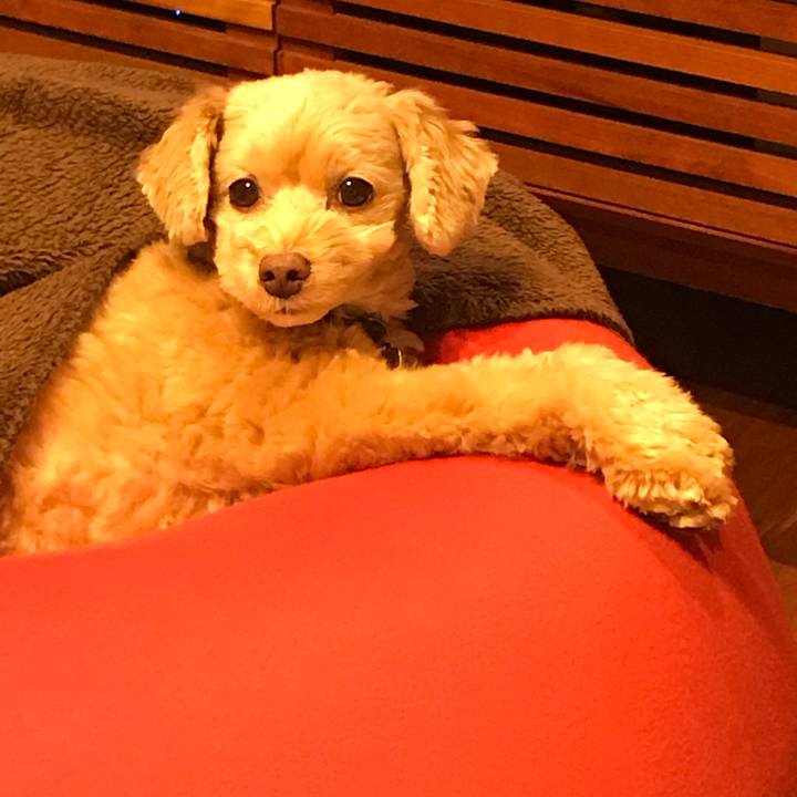 D47afb36 3c12 4c7d b850 04d286328087