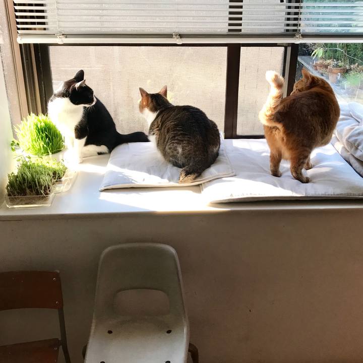 D47bb31e 1542 43a6 b12e 94e446d2ae8e