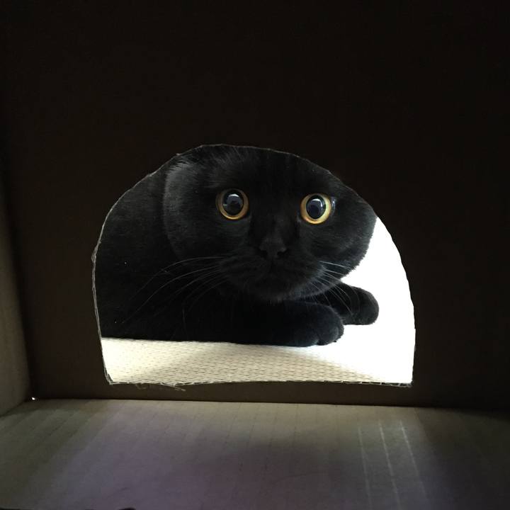 D47c96d3 c141 454c b94f 135b210dcacd