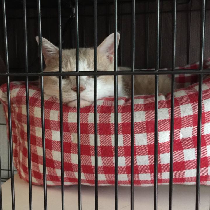 D47dccb4 c28b 4756 8d82 c99adee2b943