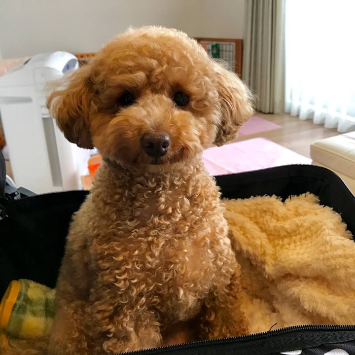 D47dde7e 63d5 492a 877e f60385ce9241