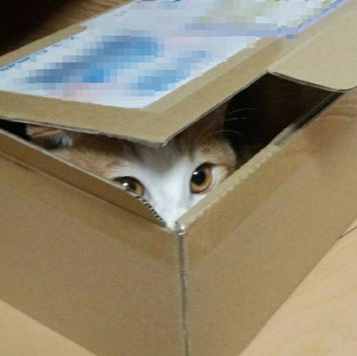 D47e0c32 8e4a 4b08 8a0c 78b7522c786b