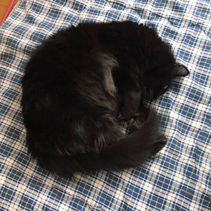 D47e53d3 29bd 4b0f bf5f f3d05e15f6fc