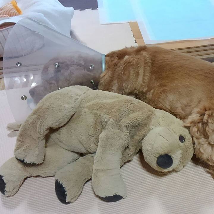 D47e8e25 10e6 4f22 81cd d5bef394f534