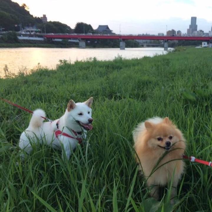 D47e9f3b 5034 40f0 8e24 e194bc7ecbc8