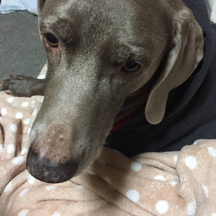 D47ee147 9957 43b7 ab6b 4998b5e98ab0