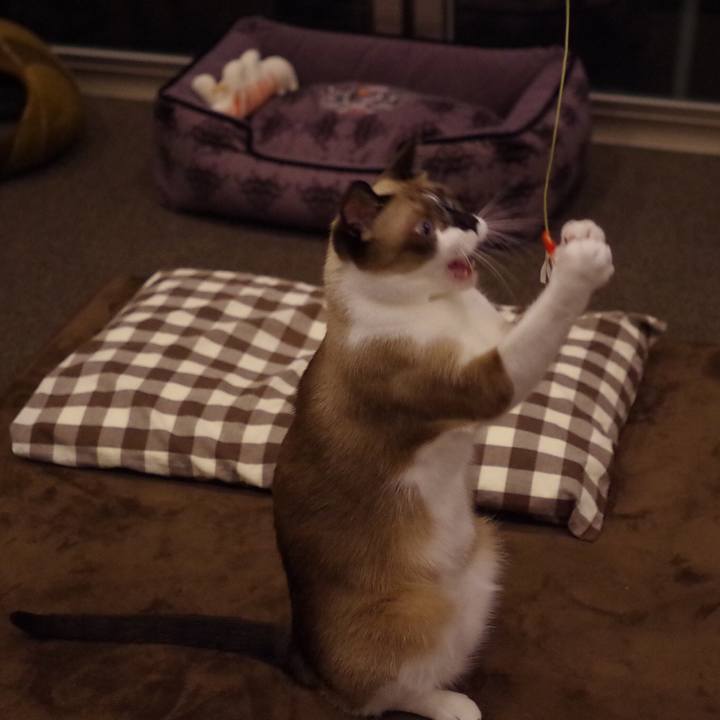 D47f1483 2e8c 43d1 b7cc 1fa92b12ffc2