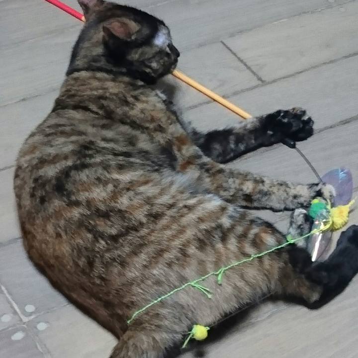 D47fa3bf 6325 4675 8052 dad26c431f8c