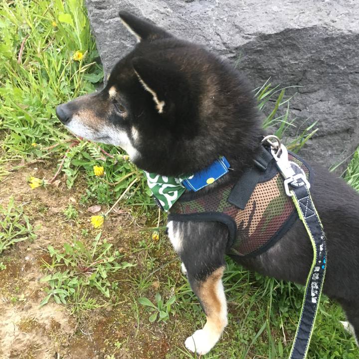 D47fa863 01b6 4fac 9f3a 0cc6490779c2