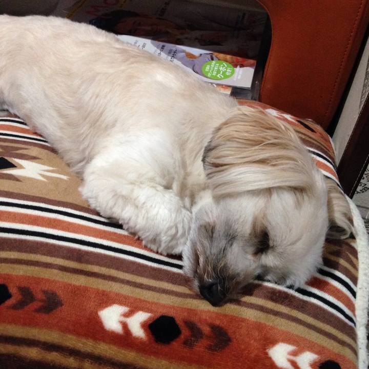 D47fcb42 e252 48d0 97a4 8eff320d47bc