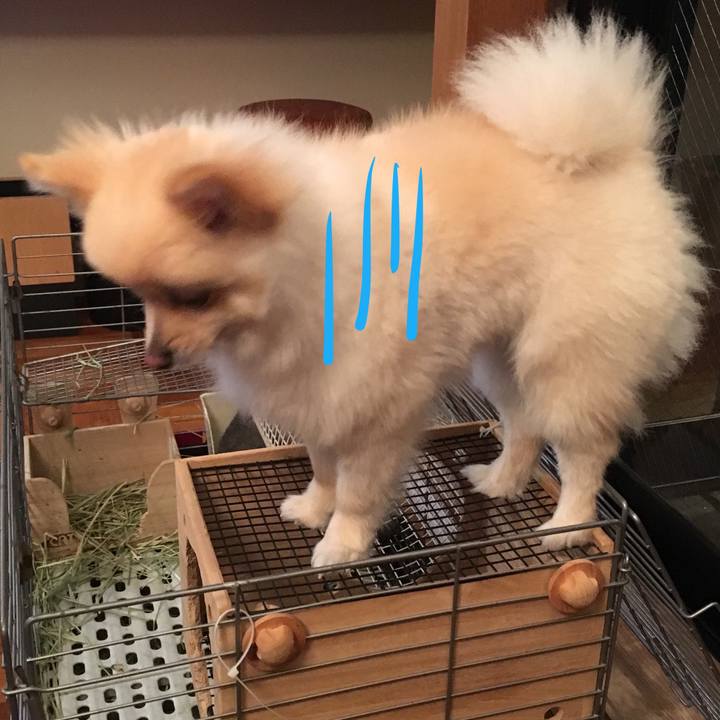 D47fd21a 51d5 431c 84f9 b04792e10290