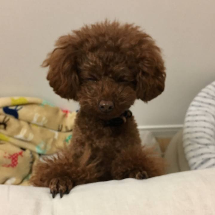 D47fde07 69e5 4d40 ae8e c089b81b1b8b