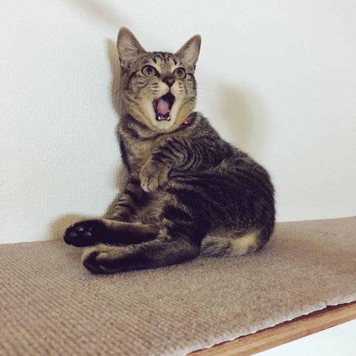 D480bb51 5da4 4fe1 ab78 6595f9ec63b6