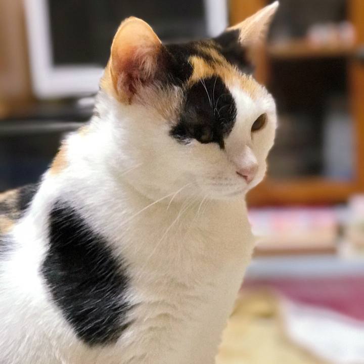 D481741a f58c 4fd9 a316 2850ba6fefef