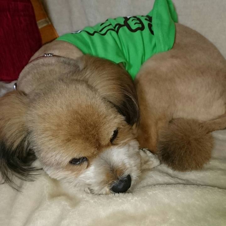 D481c122 0fcd 4462 897f ce4a7c77be21