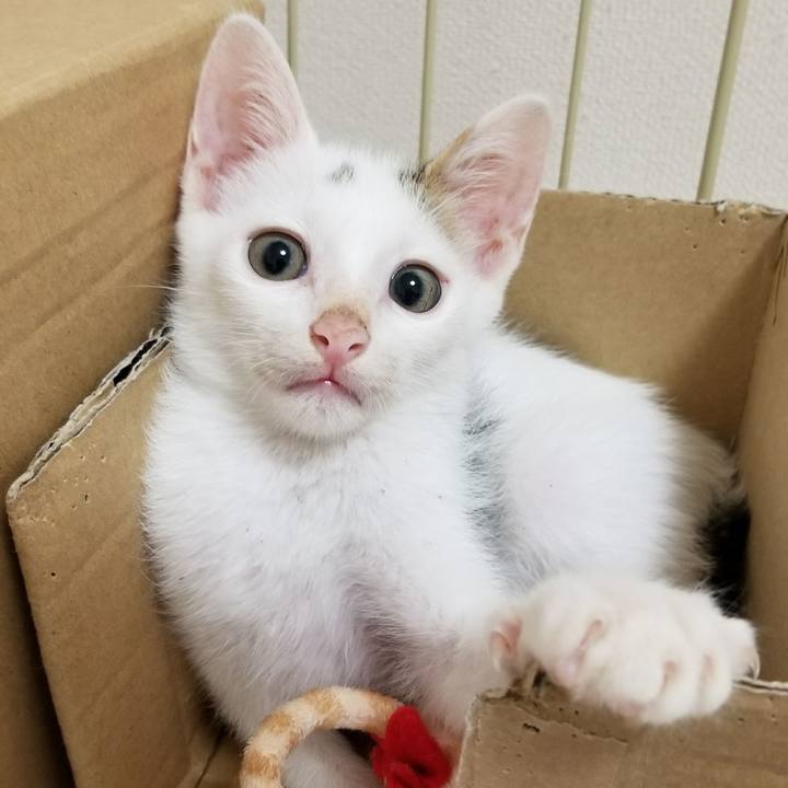 D482dc83 3323 4d8f 96cc c7e1331f19ae