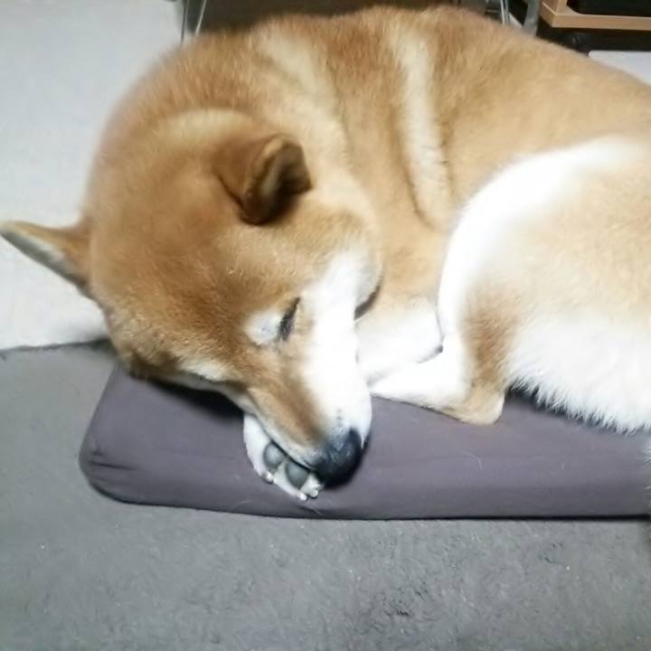 D483588f eead 45fb bbfb a89881fe908f