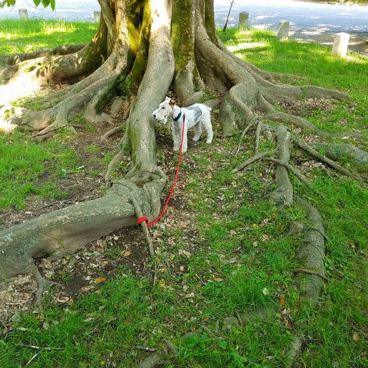 D48364f8 7c67 4c04 bdac aa494979571e