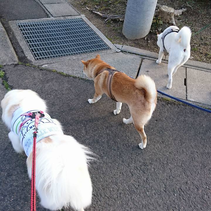 D483f886 72e6 4751 ab48 5a18a40aab97